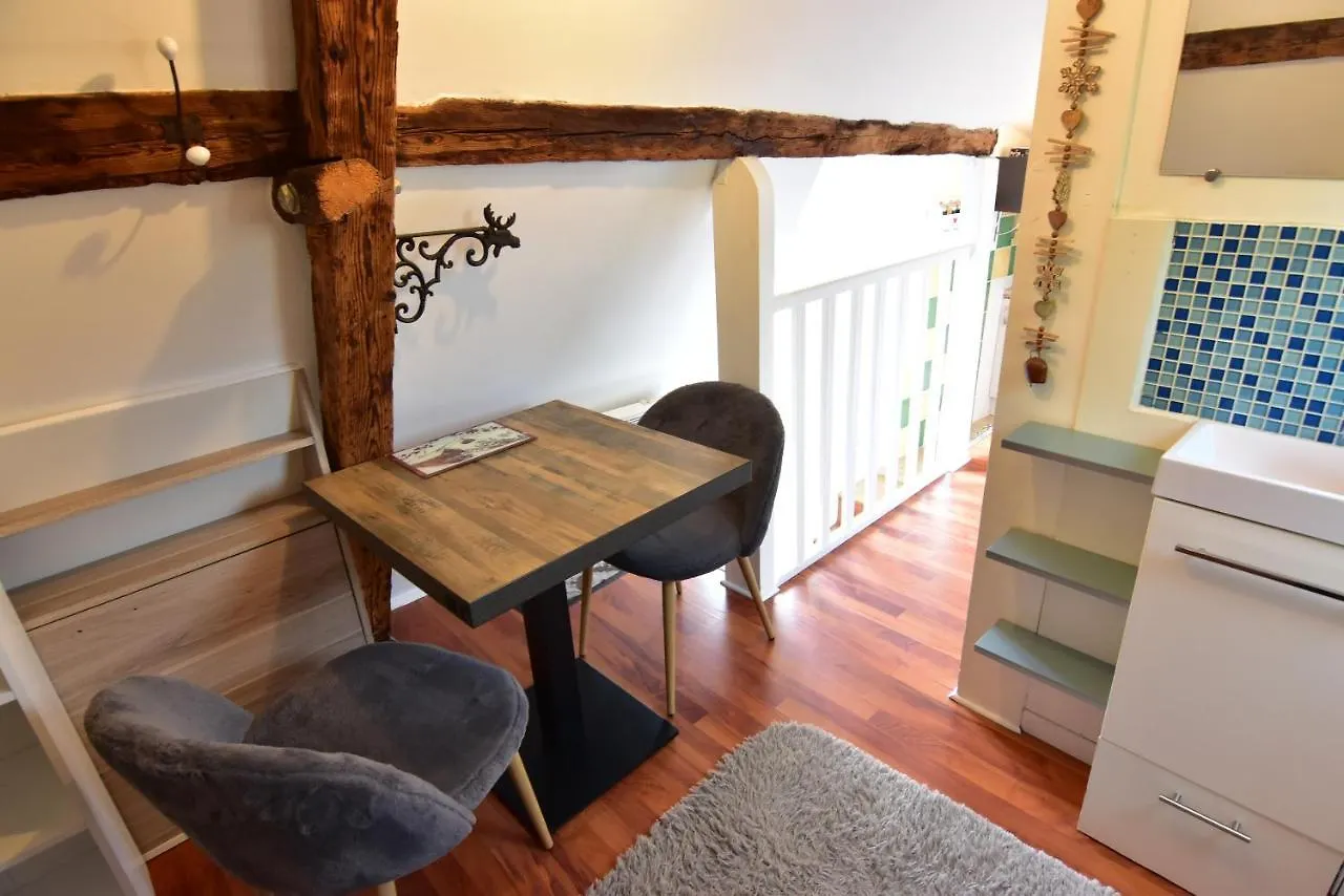 Le Duplex Carnot Apartment Annecy