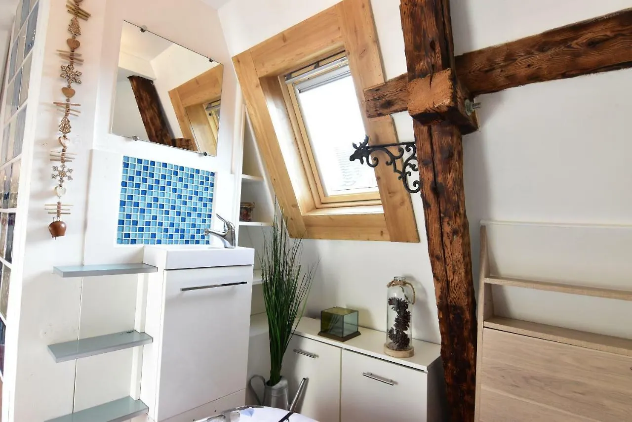 Le Duplex Carnot Apartment Annecy